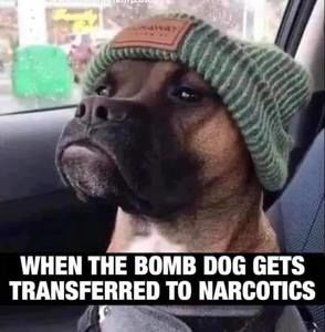 Meet your Posher, Geno